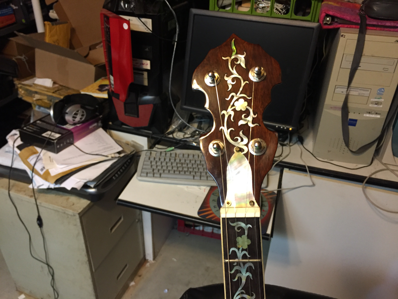 Illustration for article titled The Custom Banjo (still in progress)